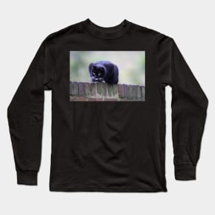 cat sat on wall looking down at something moving below Long Sleeve T-Shirt